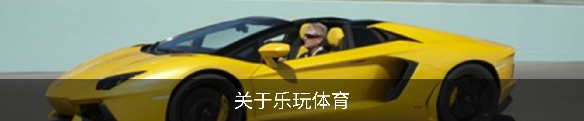 关于乐玩体育